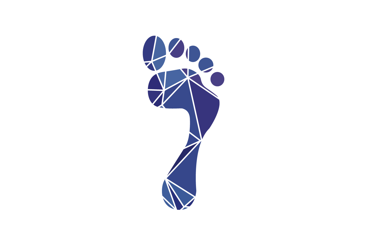 The Functional Podiatrist logo